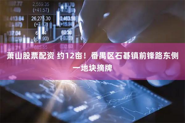 萧山股票配资 约12亩！番禺区石碁镇前锋路东侧一地块摘牌