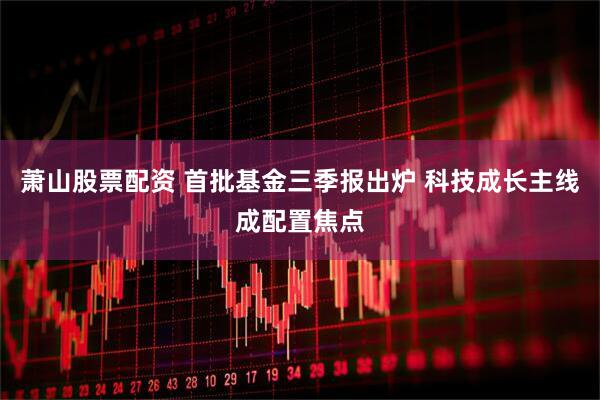 萧山股票配资 首批基金三季报出炉 科技成长主线成配置焦点