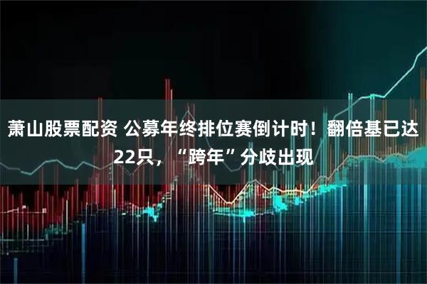 萧山股票配资 公募年终排位赛倒计时！翻倍基已达22只，“跨年”分歧出现